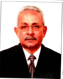 মফিজুল ইসলাম খান কামাল