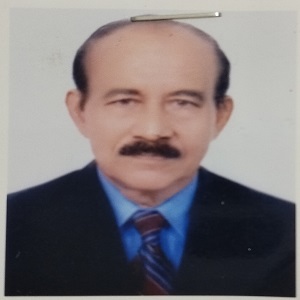 শাহ মফিজ